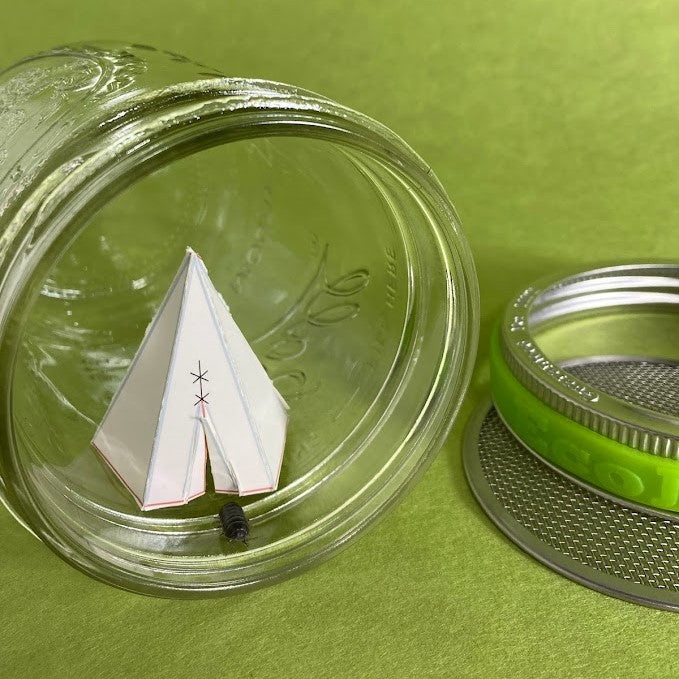 A wide mouth mason jar on its side with a paper teepee inside and a pillbug crawling out