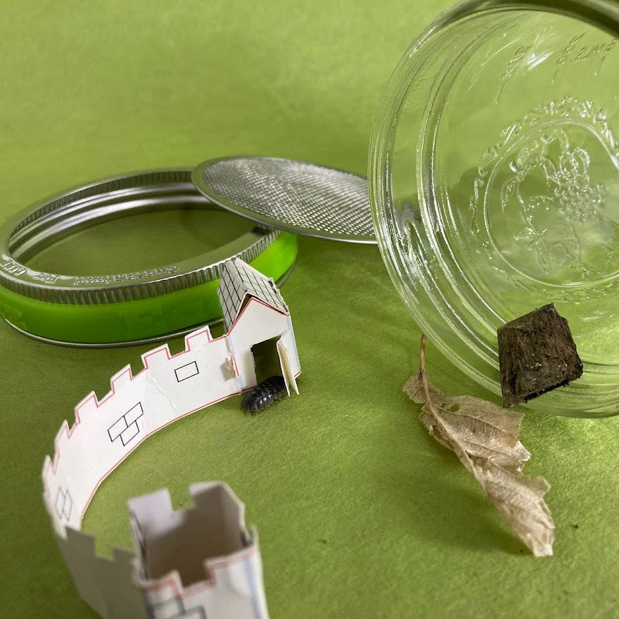 A wide mouth mason jar on its side next to a paper castle and pill bug crawling out