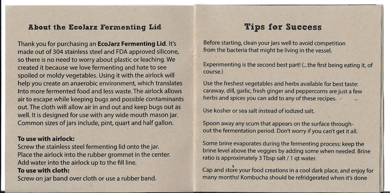 Fermenting Guide Tips for Success
