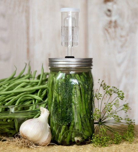 green beans in a wide mouth mason jar with the fermenter lid on top